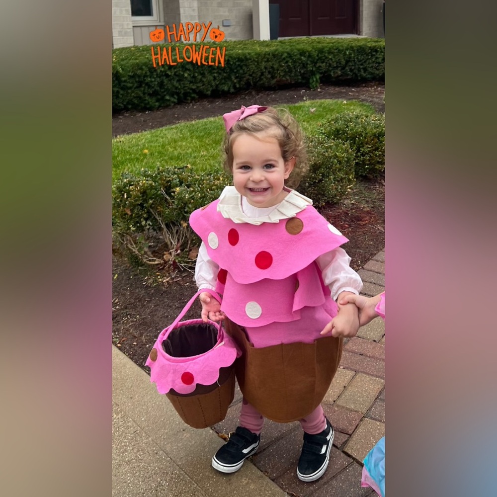 Pottery Barn Kids Pink and Brown Cupcake Halloween Costume